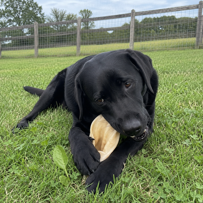 Daisy's 100% Grassfed Natural Cow Ears